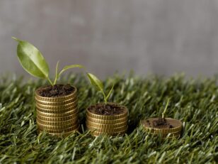 high-angle-three-stacks-coins-grass-with-plants-dirt