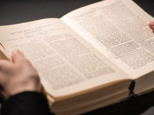 KYIV, UKRAINE - JANUARY 17, 2020: cropped view of woman reading holy bible in dark with sunlight